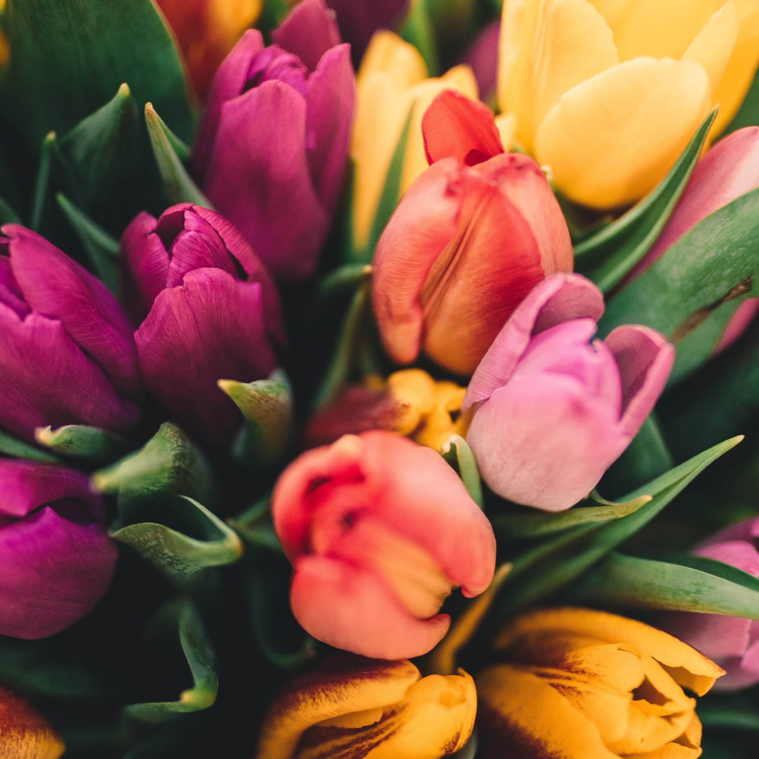 Spring